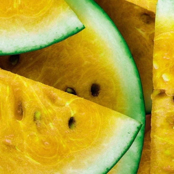 Kalahari Melon Seed Oil - Virgin Organic