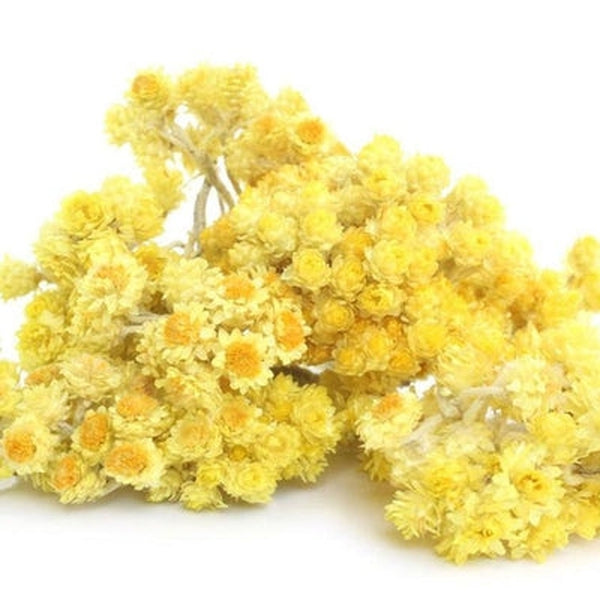 Helichrysum Italicum (IMM/EVER)  Floral Water