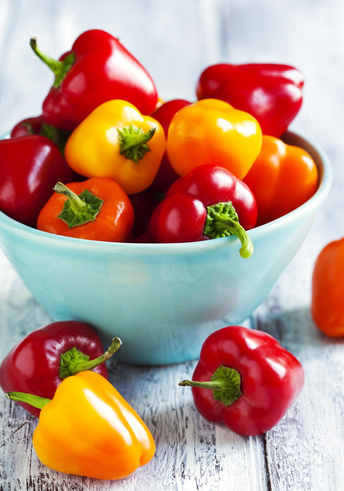 20 Organic Yellow MINI BELL PEPPER Sweet Mild Miniature Capsicum Annuum Vegetable Seeds