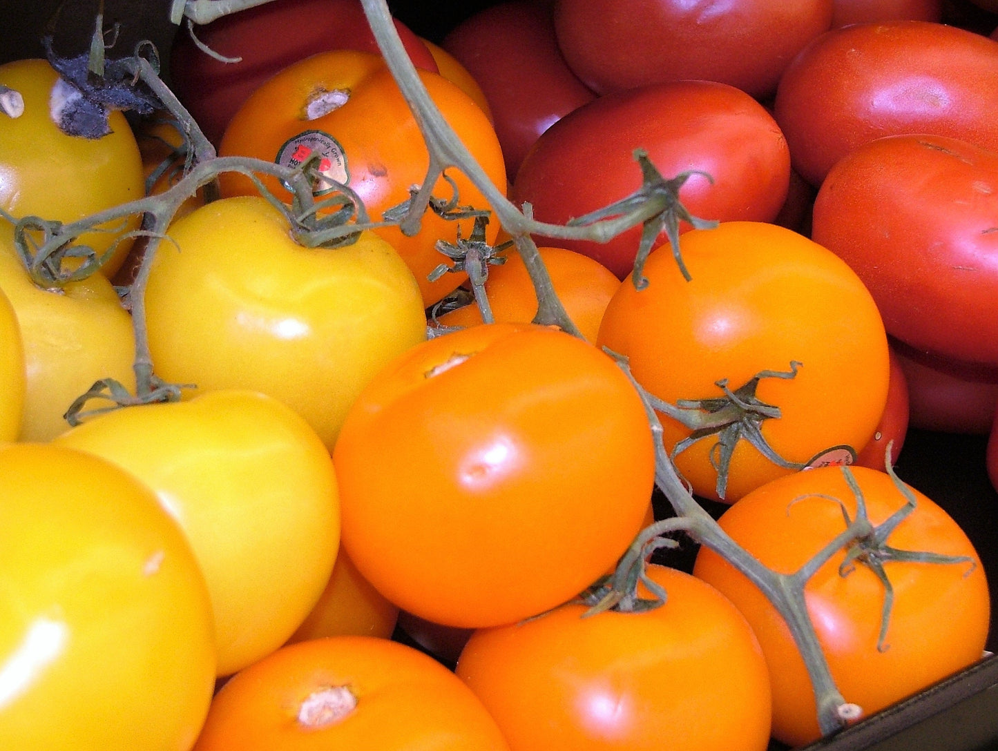 100 ORANGE CHERRY TOMATO Heirloom Solanum Lycopersicum Indeterminate Fruit Vegetable Seeds