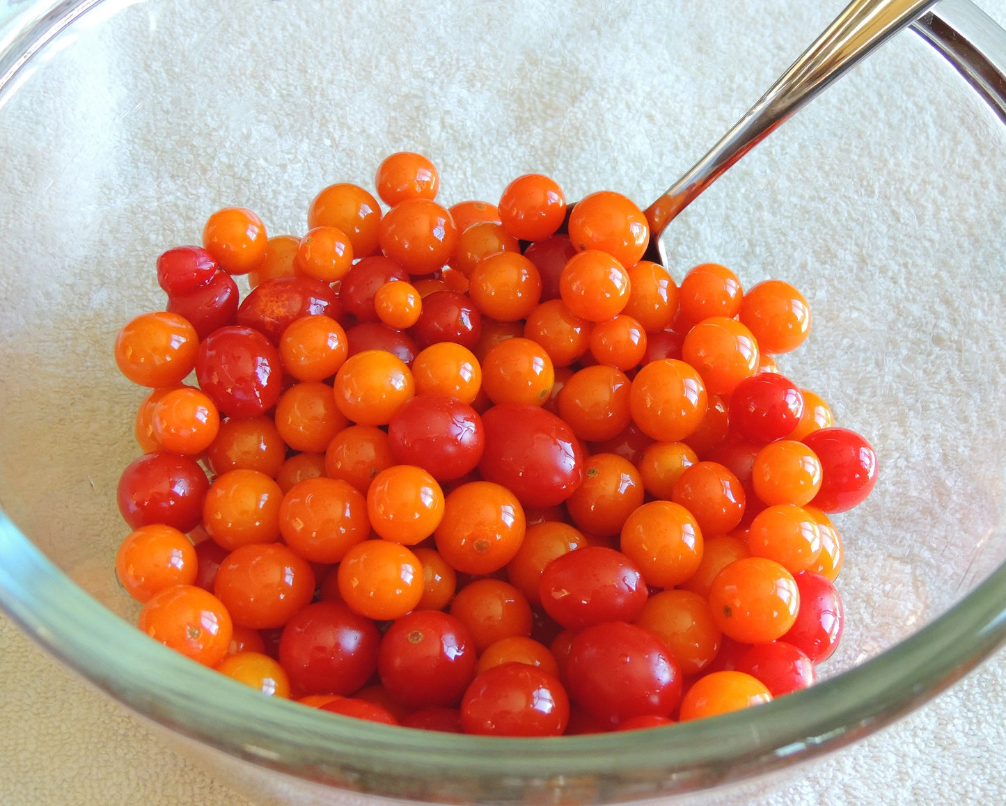 100 ORANGE CHERRY TOMATO Heirloom Solanum Lycopersicum Indeterminate Fruit Vegetable Seeds