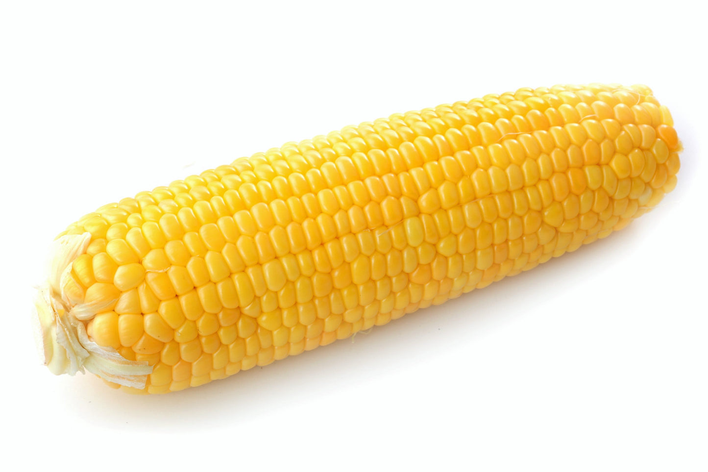 50 KANDY KORN CORN Sweet Yellow Corn Red Husk H.S.E. Zea Mays Vegetable Seeds