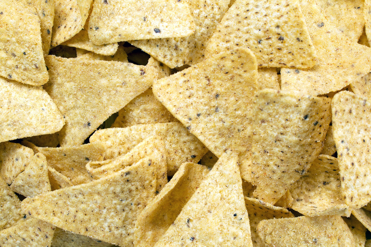 50 KANDY KORN CORN Sweet Yellow Corn Red Husk H.S.E. Zea Mays Vegetable Seeds