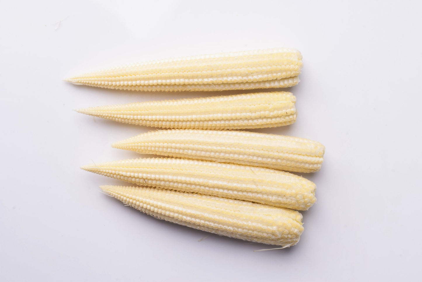 75 Japanese WHITE HULLESS POPCORN or Baby Corn Zea Mays Heirloom Vegetable Seeds