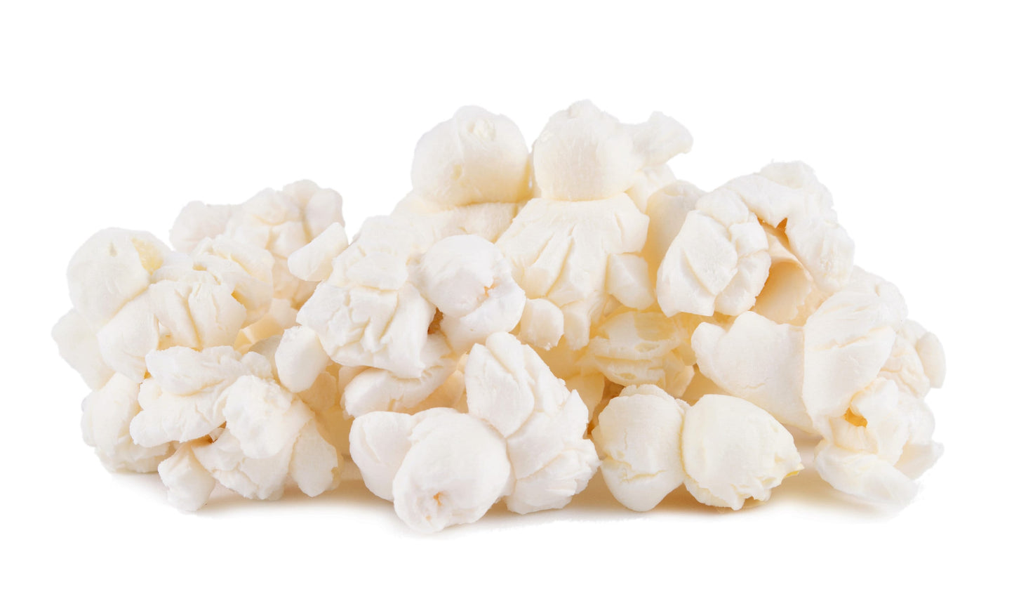 75 Japanese WHITE HULLESS POPCORN or Baby Corn Zea Mays Heirloom Vegetable Seeds