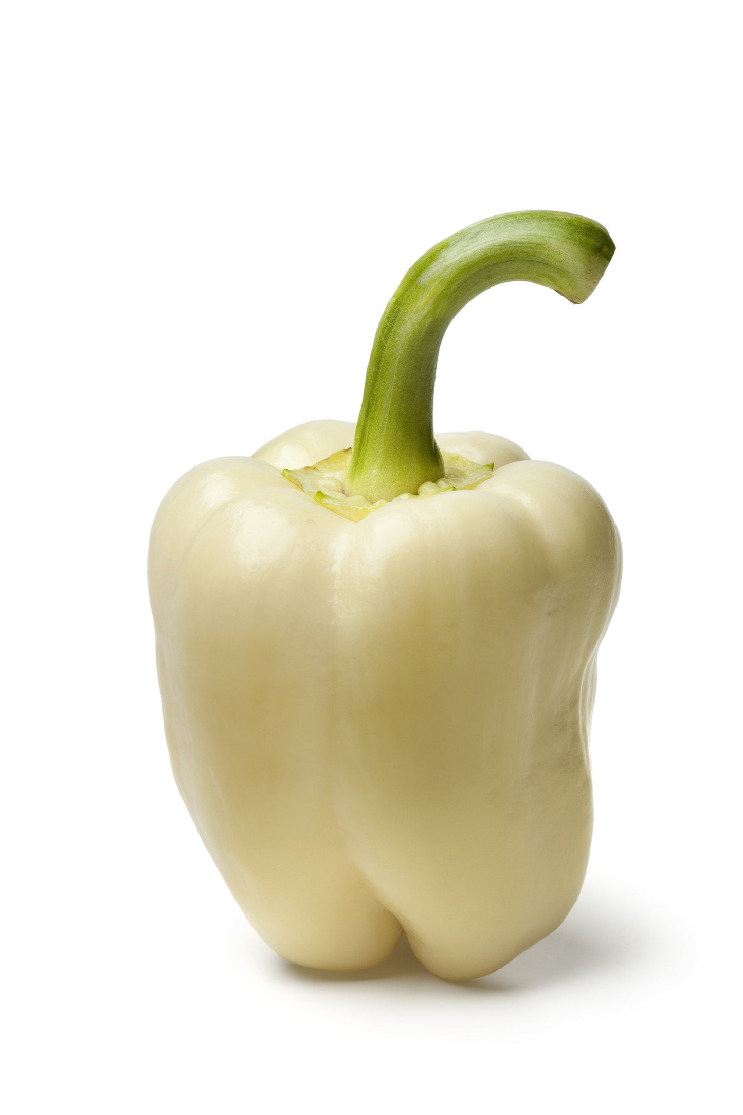 50 WHITE CLOUD BELL PEPPER Sweet Mild Capsicum Annuum Vegetable Seeds