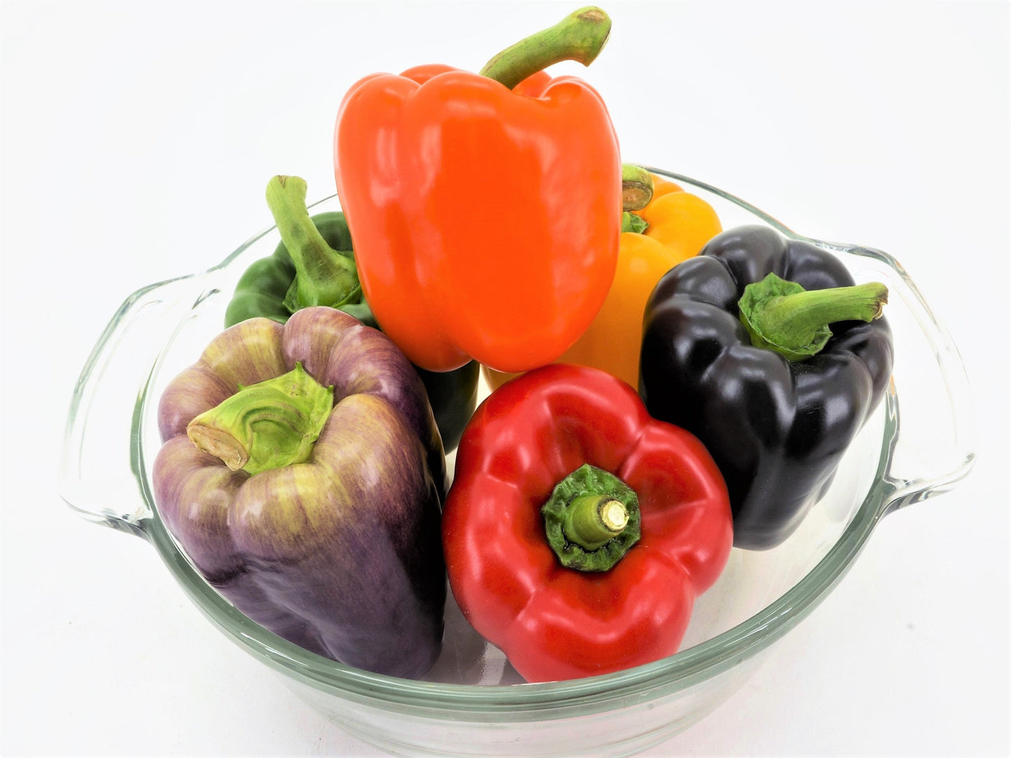 150 RAINBOW BELL PEPPER Sweet Red, Green, Yellow, Orange, Purple, Brown, & White Capsicum Annuum Vegetable Seeds
