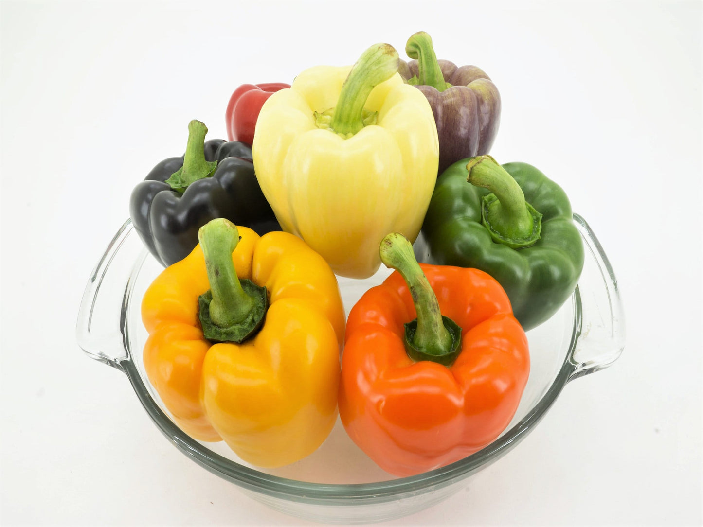 150 RAINBOW BELL PEPPER Sweet Red, Green, Yellow, Orange, Purple, Brown, & White Capsicum Annuum Vegetable Seeds