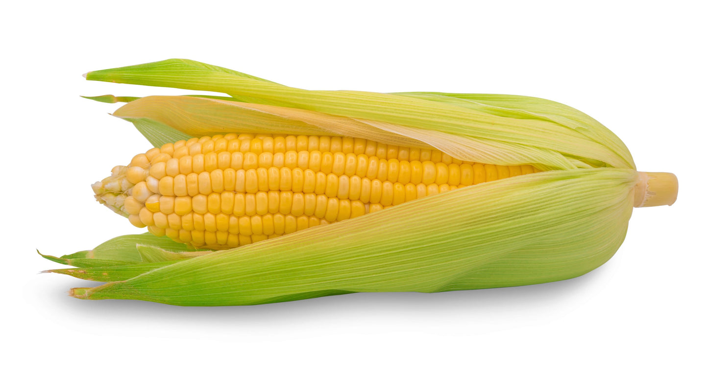 50 Yellow JUBILEE CORN Sweet Corn Zea Mays Vegetable Seeds