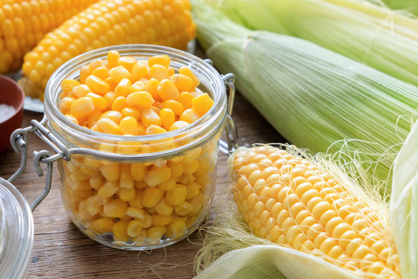 50 HONEY SELECT CORN Sweet Yellow S.E. Sh2 Zea Mays Vegetable Seeds