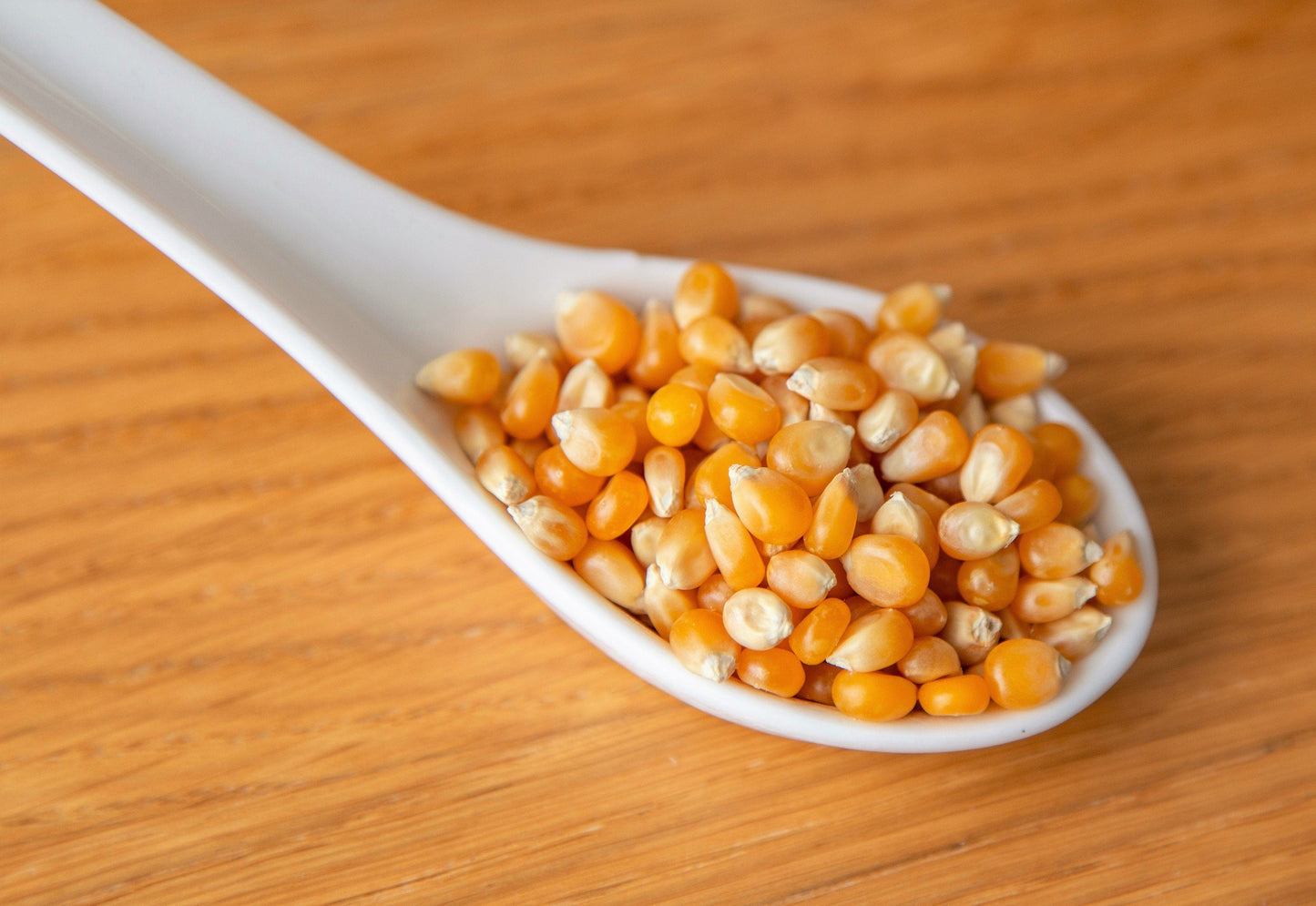 75 SOUTH AMERICAN Yellow POPCORN Corn Zea Mays Heirloom Vegetable Seeds