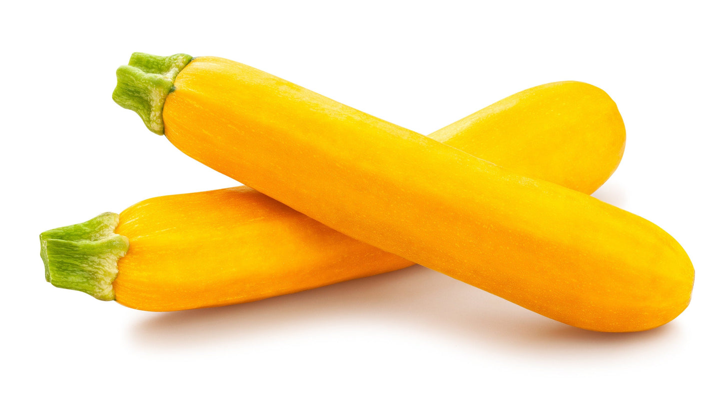 50 GOLDEN ZUCCHINI Heirloom Summer Bush Squash Cucurbita Pepo Yellow Vegetable Seeds
