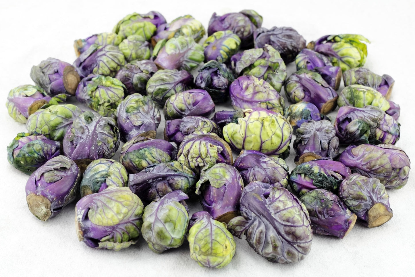 70 RED Ball BRUSSEL SPROUT Brussels Sprouts Brassica Oleracea Gemmifera Vegetable Seeds