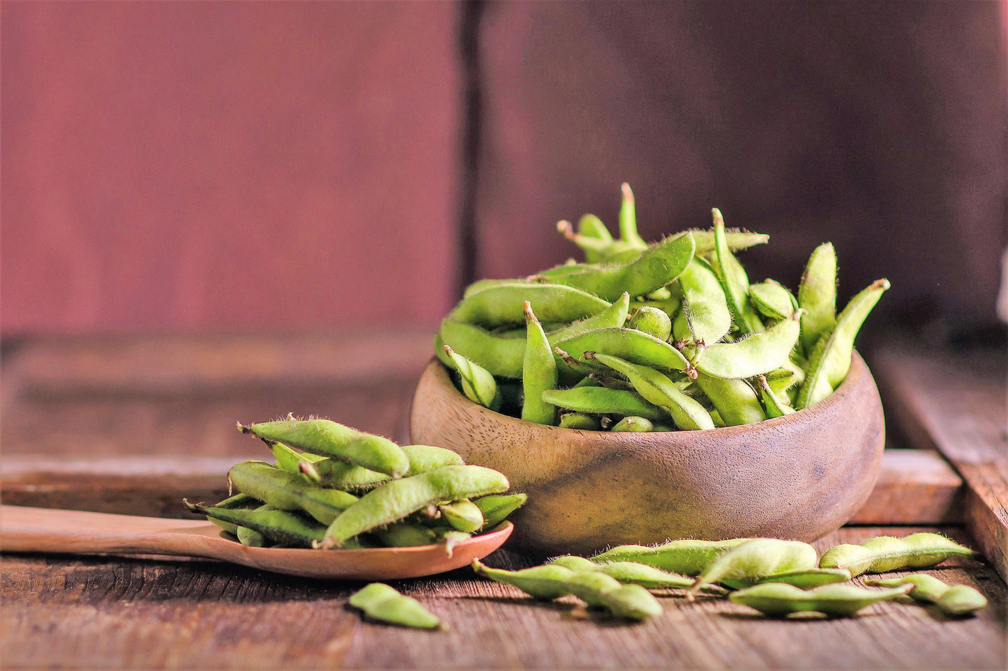 20 Organic MIDORI GIANT SOYBEAN Edamame Glycine Max Green Bean Legume Vegetable Seeds