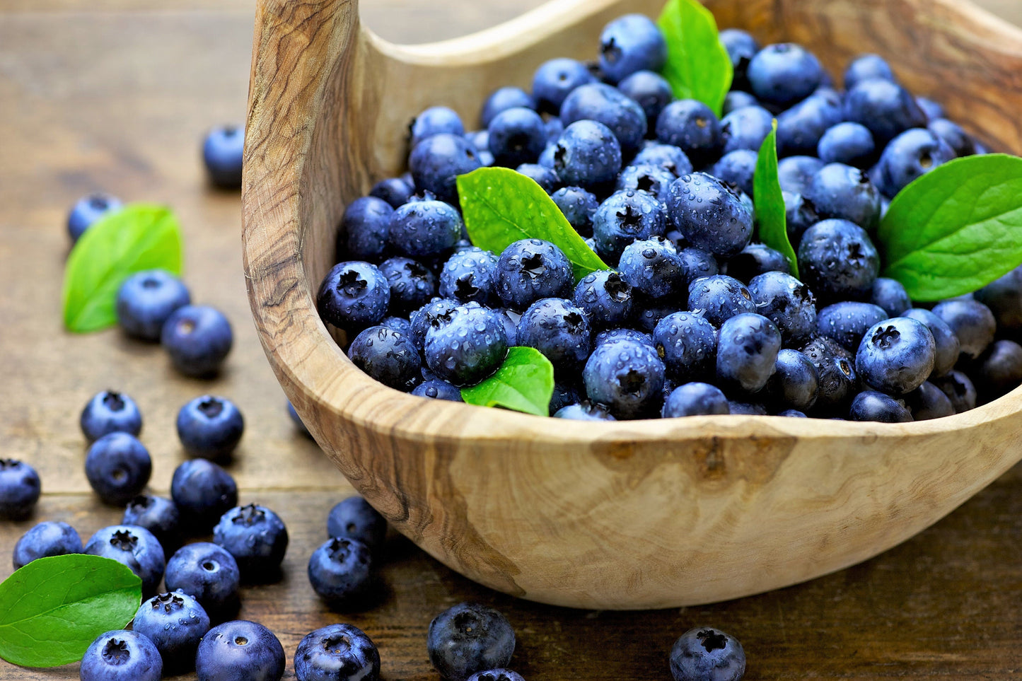 50 LOWBUSH BLUEBERRY Vaccinium Angustifolium Blue Berry Fruit Dwarf Shrub Seeds