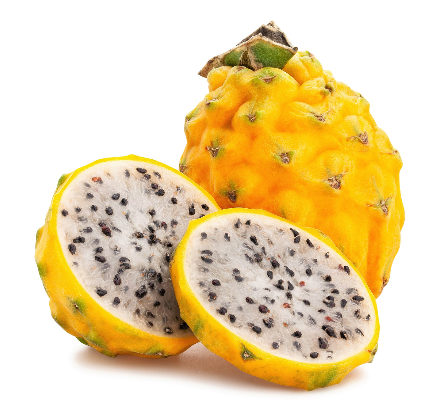 20 YELLOW DRAGON FRUIT ( Pitaya / Pitahaya / Strawberry Pear ) Hylocereus Megalanthus Cactus White Flower Seeds