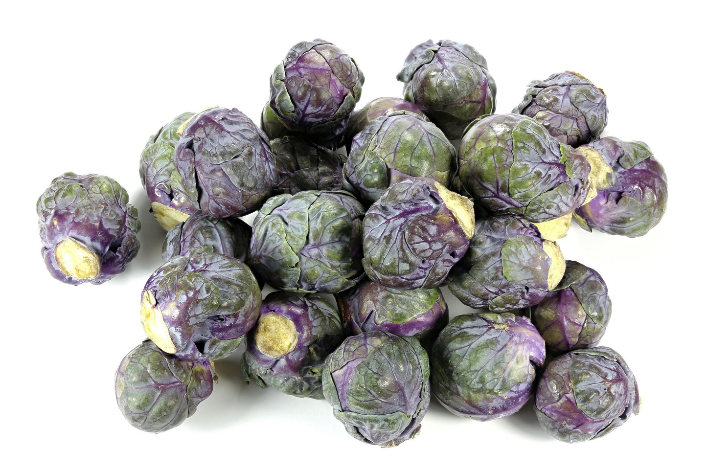 70 RED Ball BRUSSEL SPROUT Brussels Sprouts Brassica Oleracea Gemmifera Vegetable Seeds