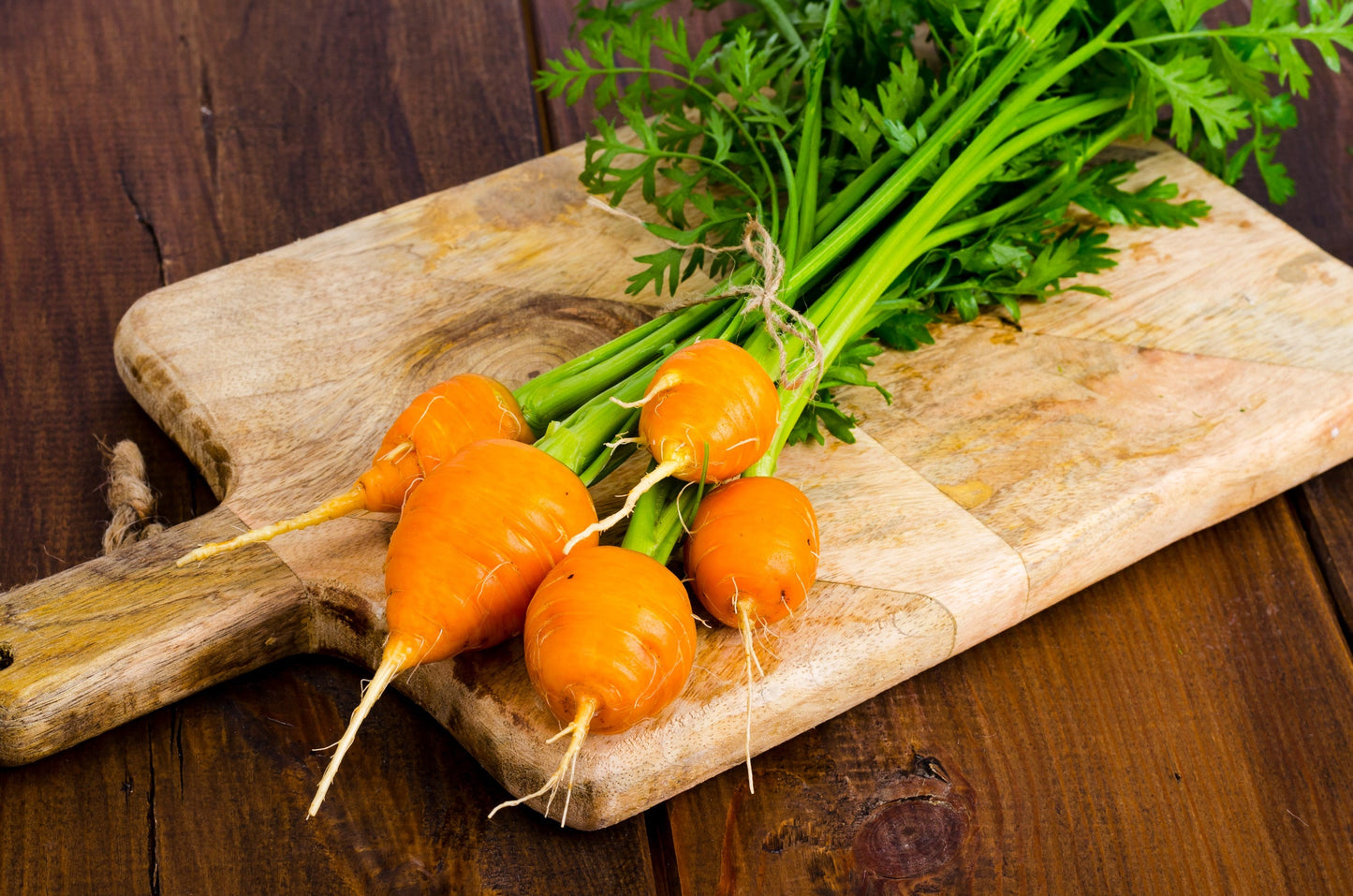 800 PARISIAN CARROT Parisienne Carrot Daucas Carota Sativus Orange Vegetable Seeds