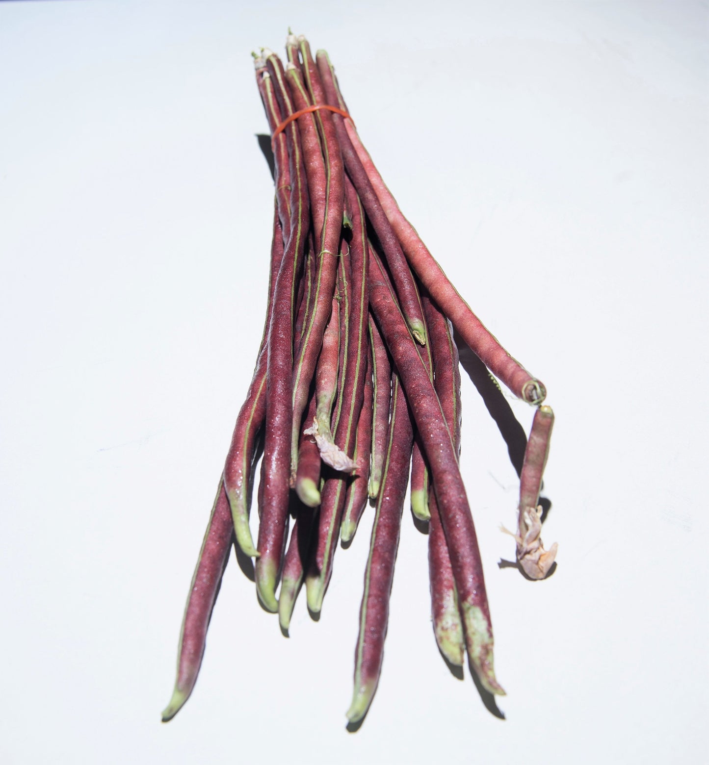 100 RED RIPPER COWPEA Cow Pea Southern Pea Vigna Unguiculata Legume Bean Vegetable Seeds