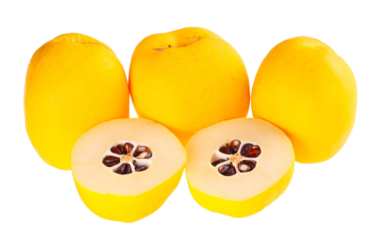 30 FLOWERING QUINCE Fruit Seeds - Pink Red White Orange Flowering Shrub - aka Japanese, Chinese, & Common Quince - Chaenomeles Speciosa