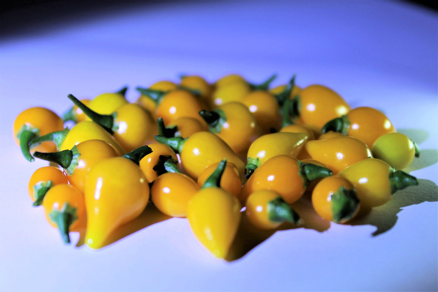 25 YELLOW BIQUINHO PEPPER Brazilian Chupetinho Capsicum Chinense Small Citrusy Sweet Semi Hot Chile Sweety Drop Vegetable Seeds