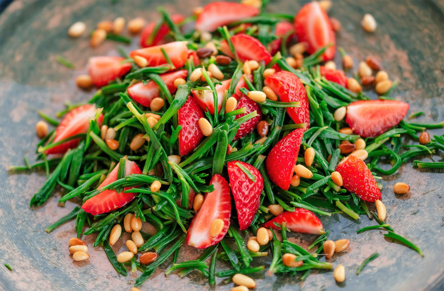 40 SEA FENNEL Rock Samphire Crithmum Maritimum Fragrant Herb Edible Vegetable Yellow Flower Seeds