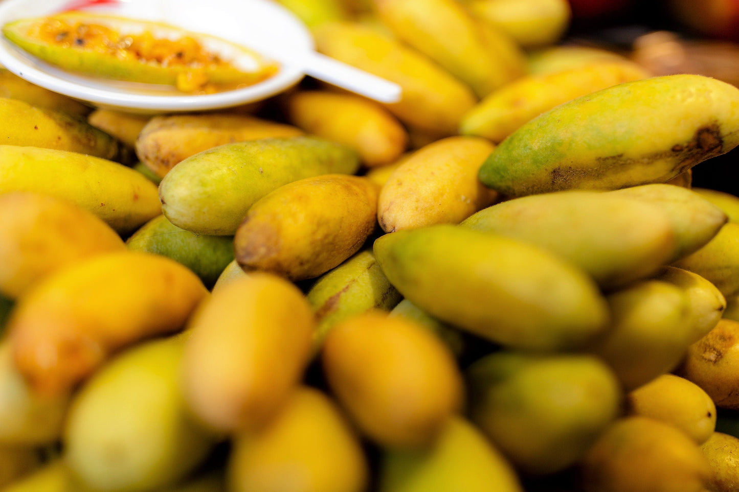 10 BANANA PASSION FRUIT Pink Passion Flower Passiflora Mollissima Yellow Skin Orange Pulp Vine Seeds