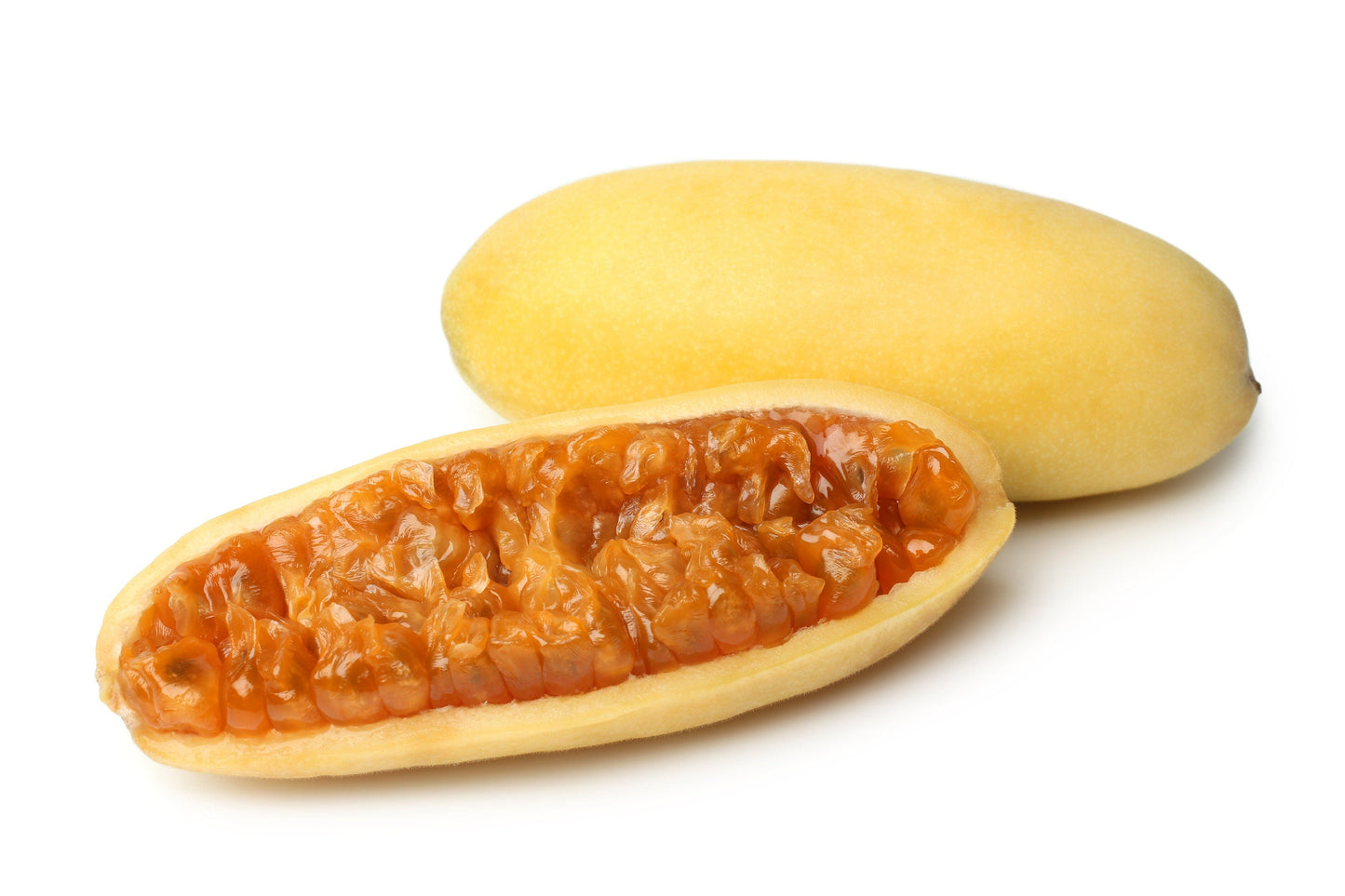 10 BANANA PASSION FRUIT Pink Passion Flower Passiflora Mollissima Yellow Skin Orange Pulp Vine Seeds