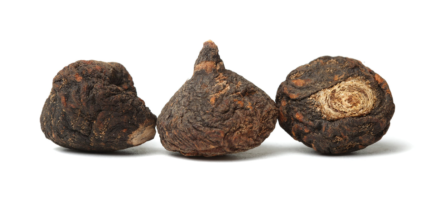 50 BLACK MACA Peruvian Ginseng Maka Lepidium Meyenii syn. Peruvianum Herb Seeds