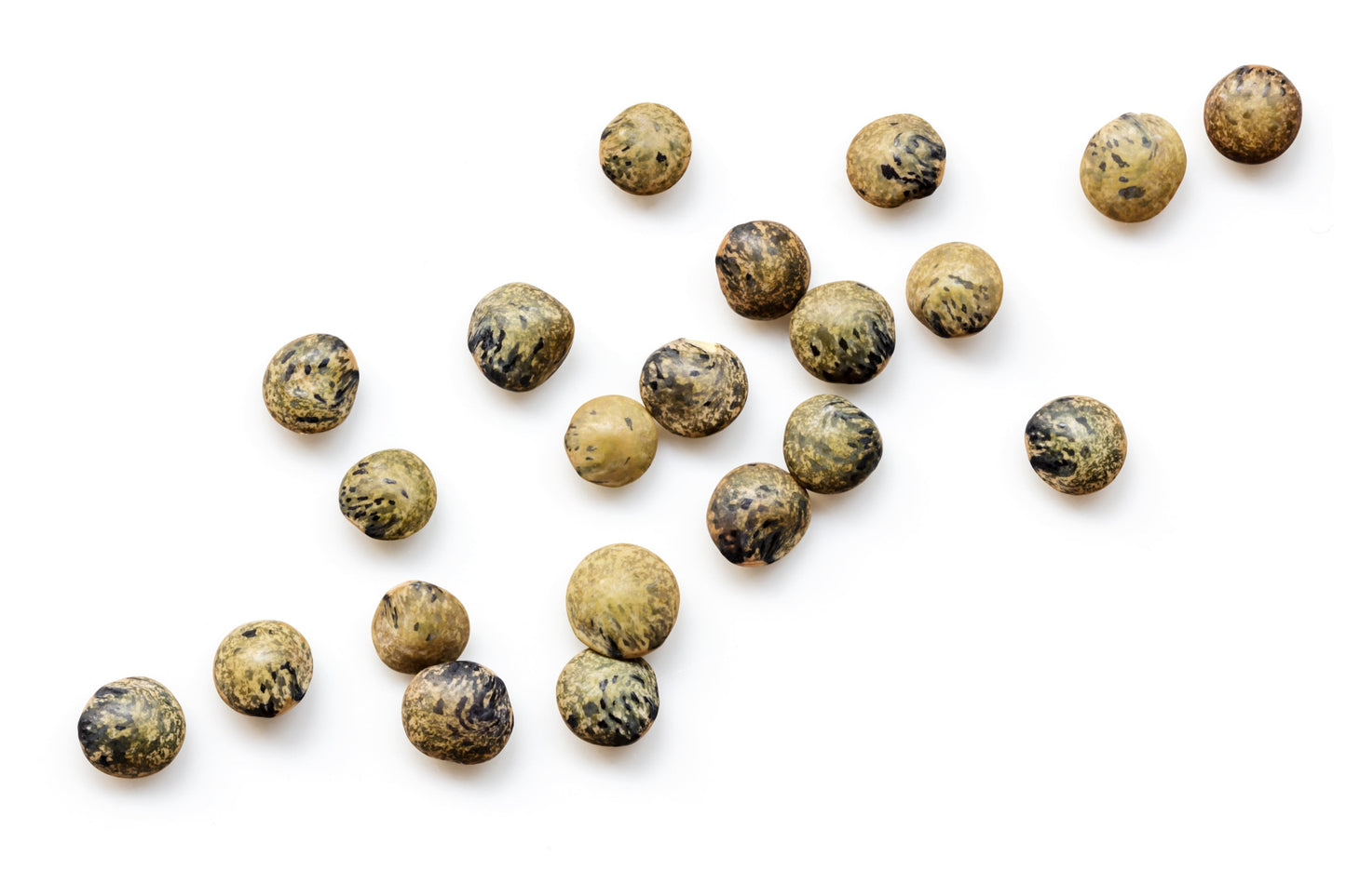 ORGANIC SPROUTING MIX - Peas, Mung & Adzuki Beans, Green, French, & Red Lentil Vegetable Sprout Seeds