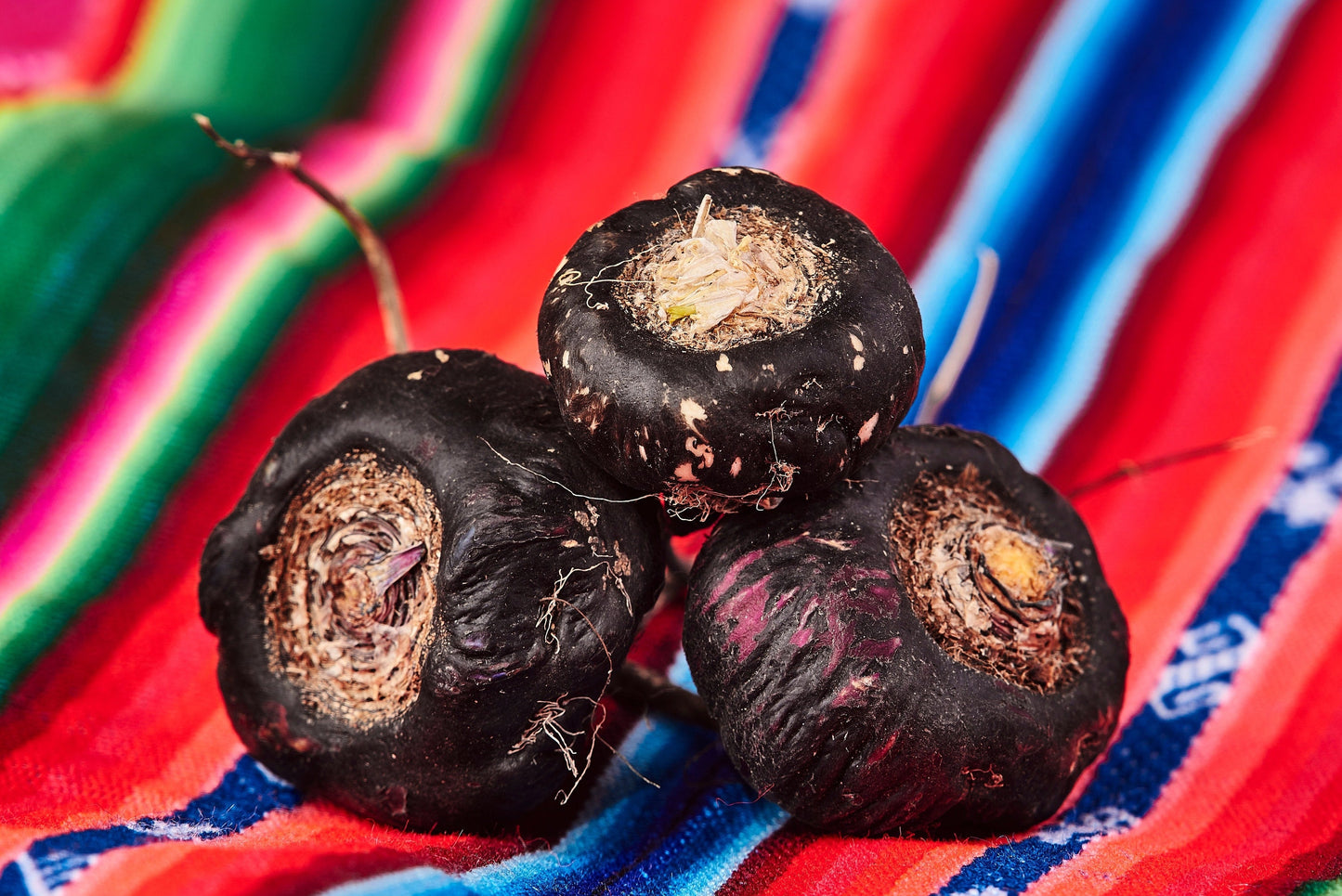 50 BLACK MACA Peruvian Ginseng Maka Lepidium Meyenii syn. Peruvianum Herb Seeds