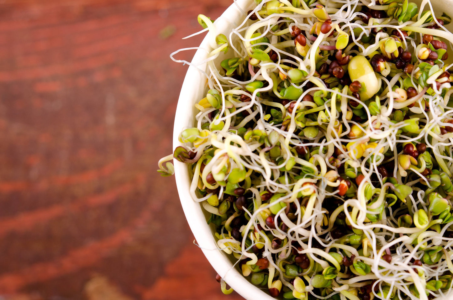 ORGANIC SPROUTING MIX - Peas, Mung & Adzuki Beans, Green, French, & Red Lentil Vegetable Sprout Seeds