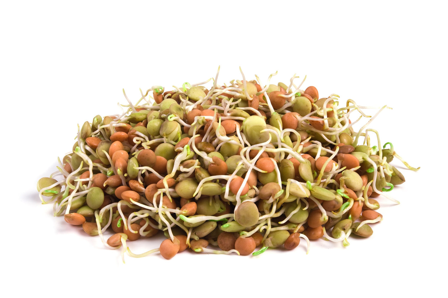 ORGANIC SPROUTING MIX - Peas, Mung & Adzuki Beans, Green, French, & Red Lentil Vegetable Sprout Seeds