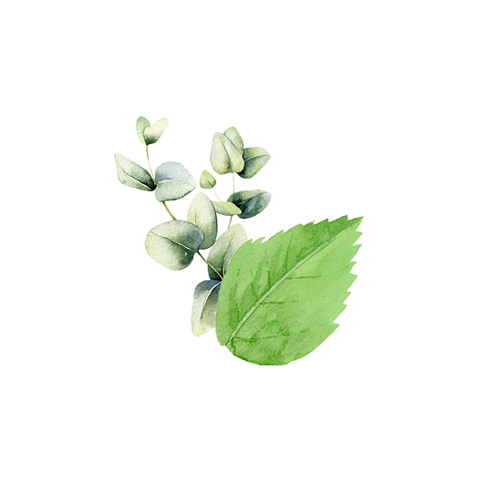 Epsom Salt Soak | Mint & Eucalyptus