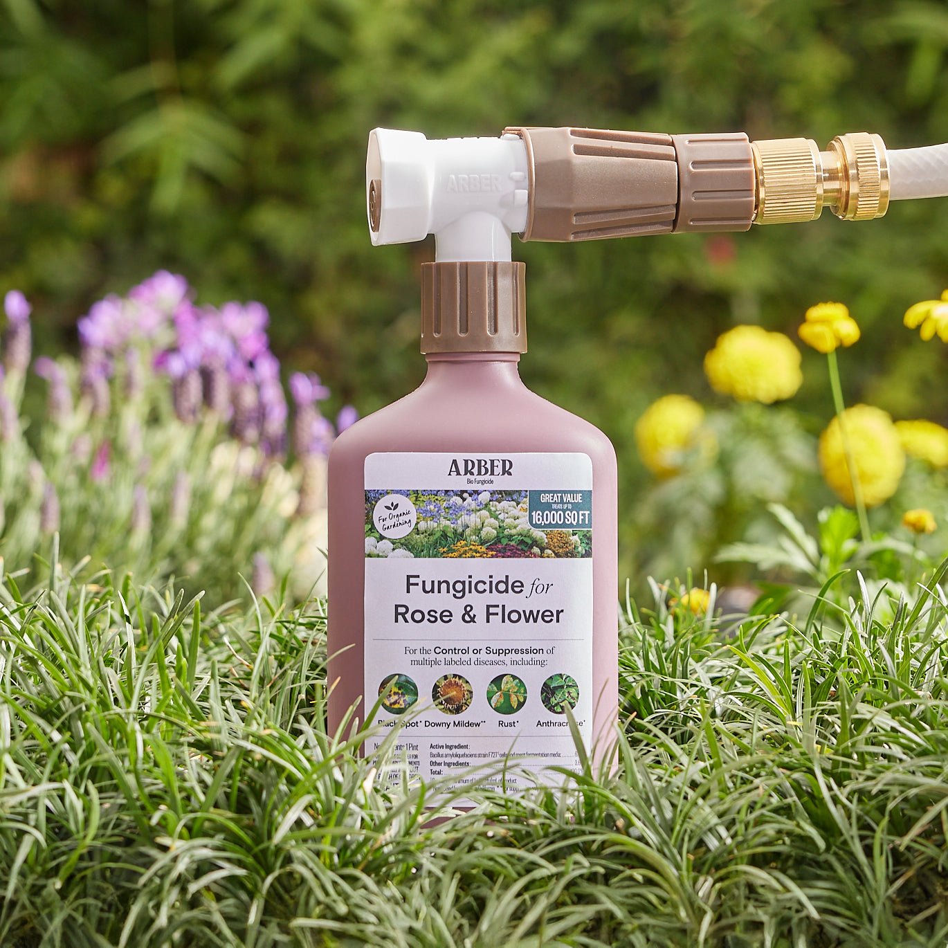 Organic Fungicide for Rose & Flower