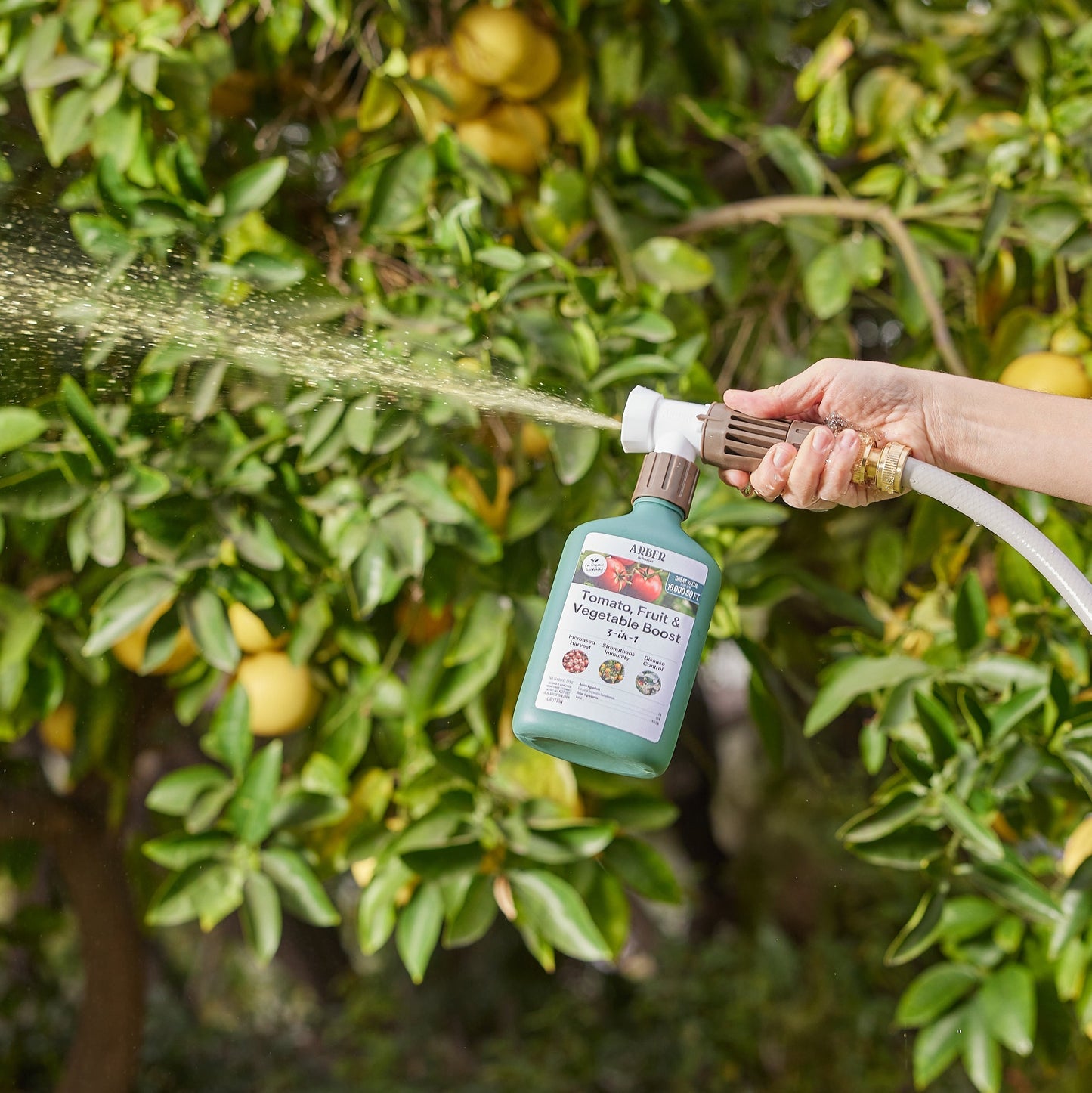 Organic Tomato, Fruit & Vegetable Boost