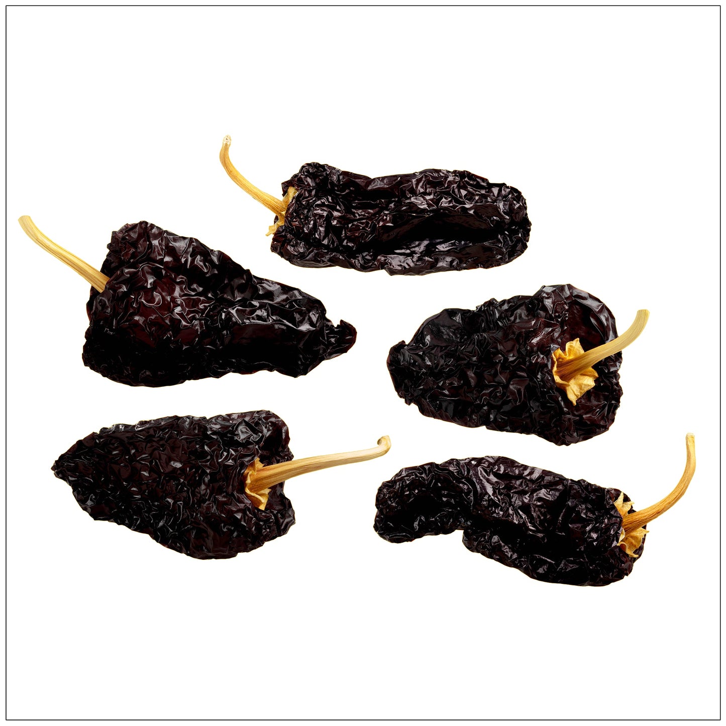 Ancho Chili Pepper