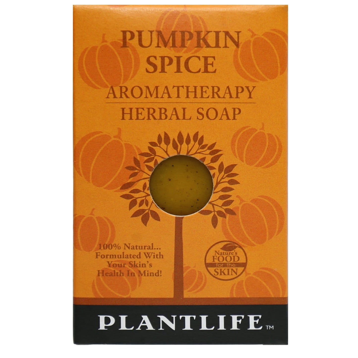 Pumpkin Spice Travel Size Bar Soap