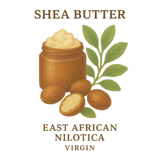 Shea Butter East African Nilotica  - Virgin