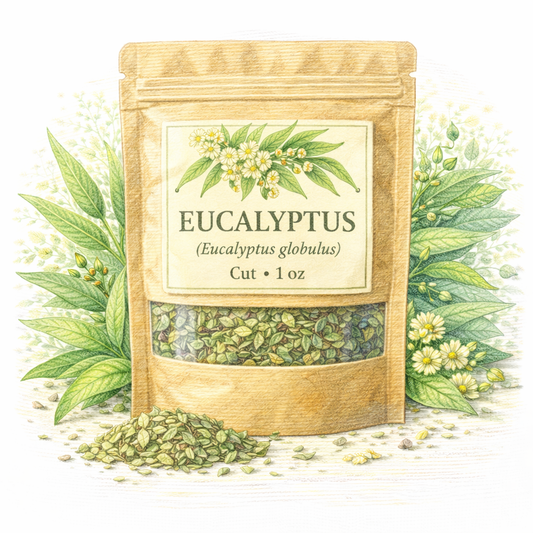 Eucalyptus cut 1oz  (Eucalyptus globulus)