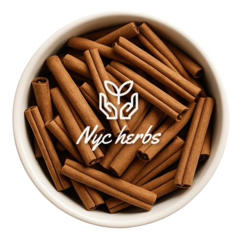 Cinnamon Bark | Warming Circulation & Sweet Comfort