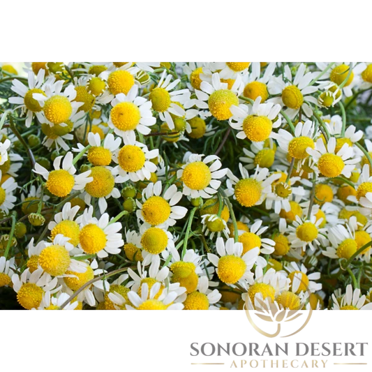 Chamomile Floral Water