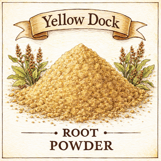 Yellow Dock Root Powder