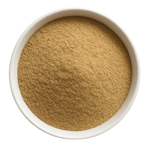 Aloe Vera | Inner Cleanse & Skin Nourishment