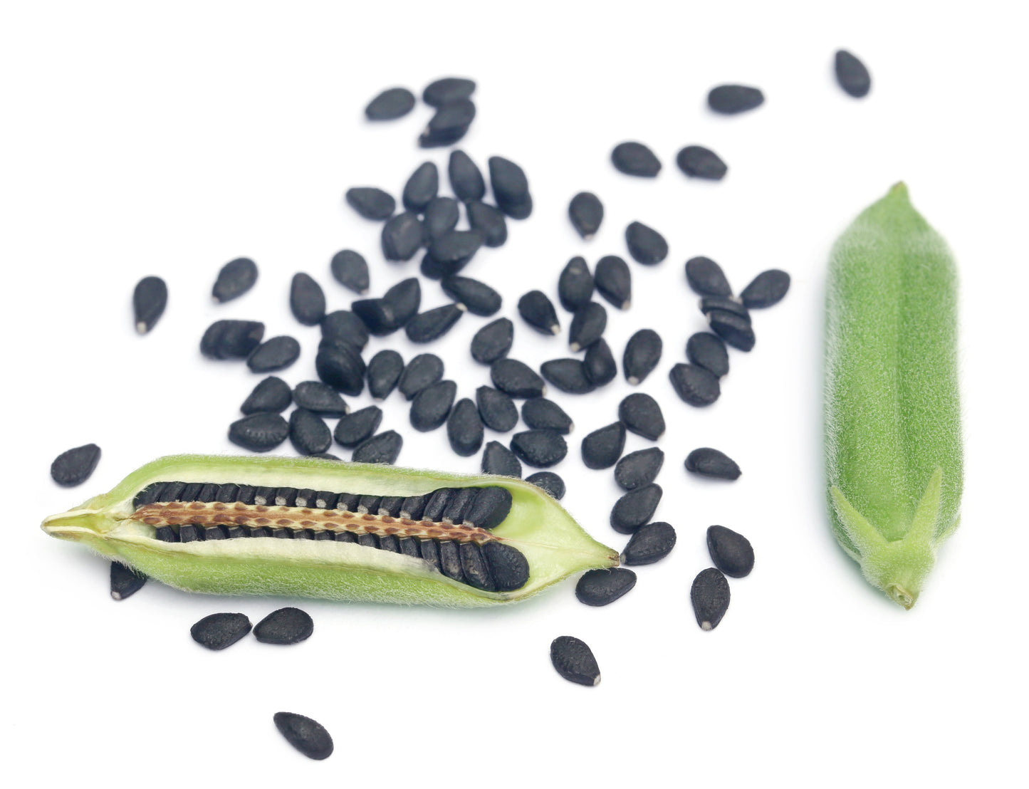 1500 BLACK SESAME Sesamum Indicum Vegetable Flower Seeds