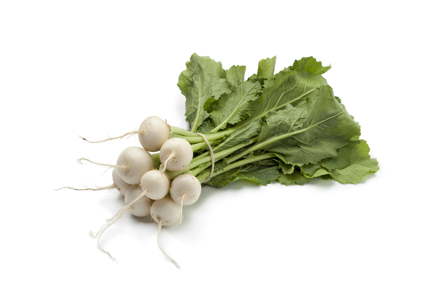 300 WHITE EGG TURNIP Brassica Rapa Vegetable Seeds