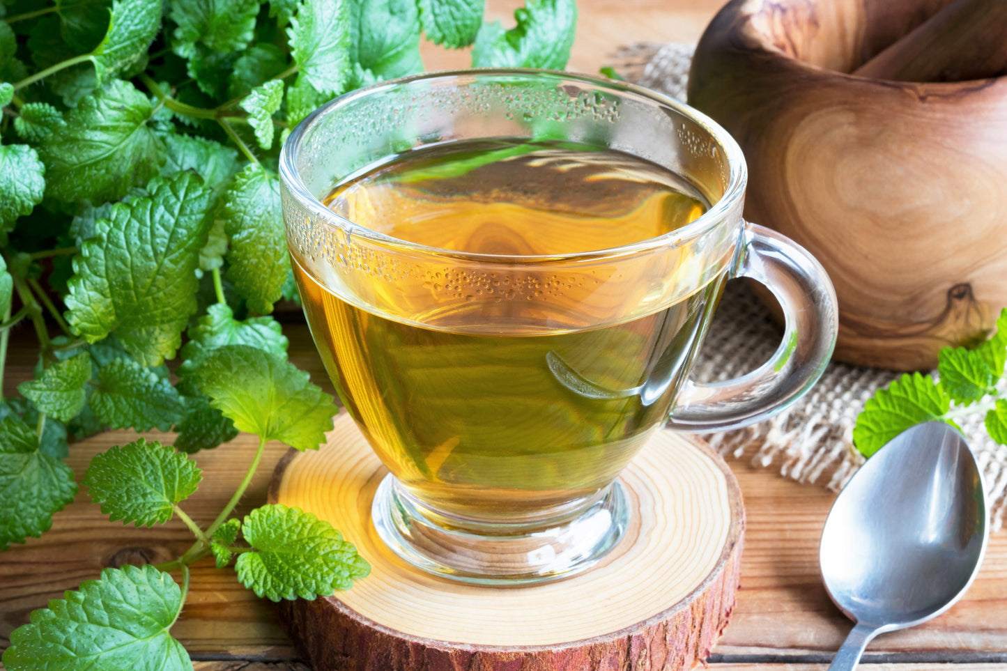 1500 LEMON BALM Melissa Officinalis Lemonbalm Fragrant Herb / Flower Seeds