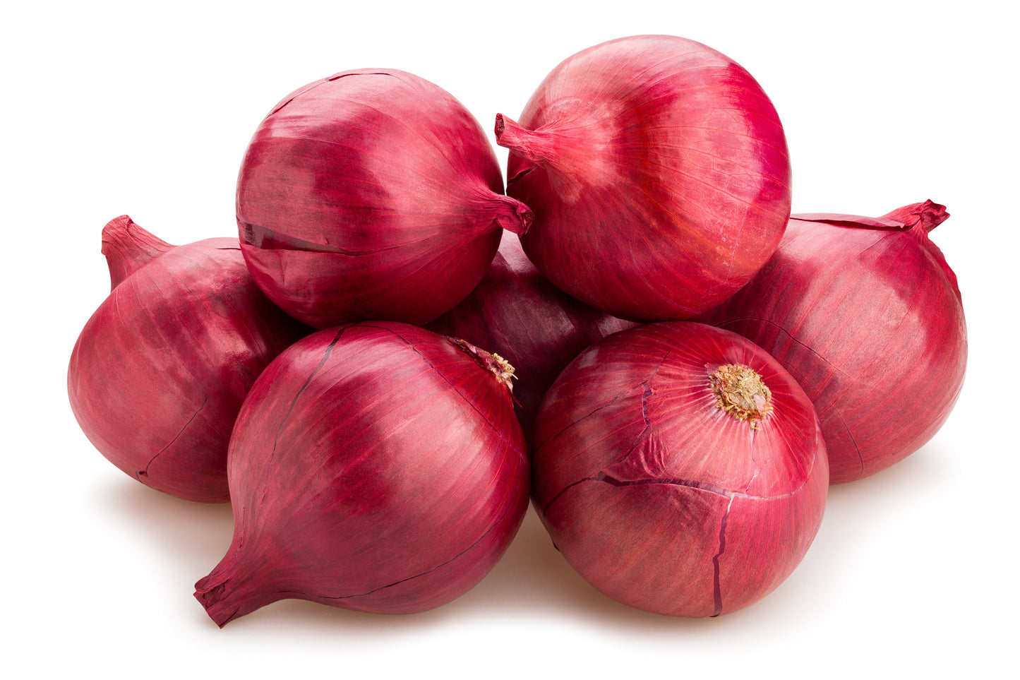 250 RED BURGUNDY ONION Allium Cepa Vegetable Seeds