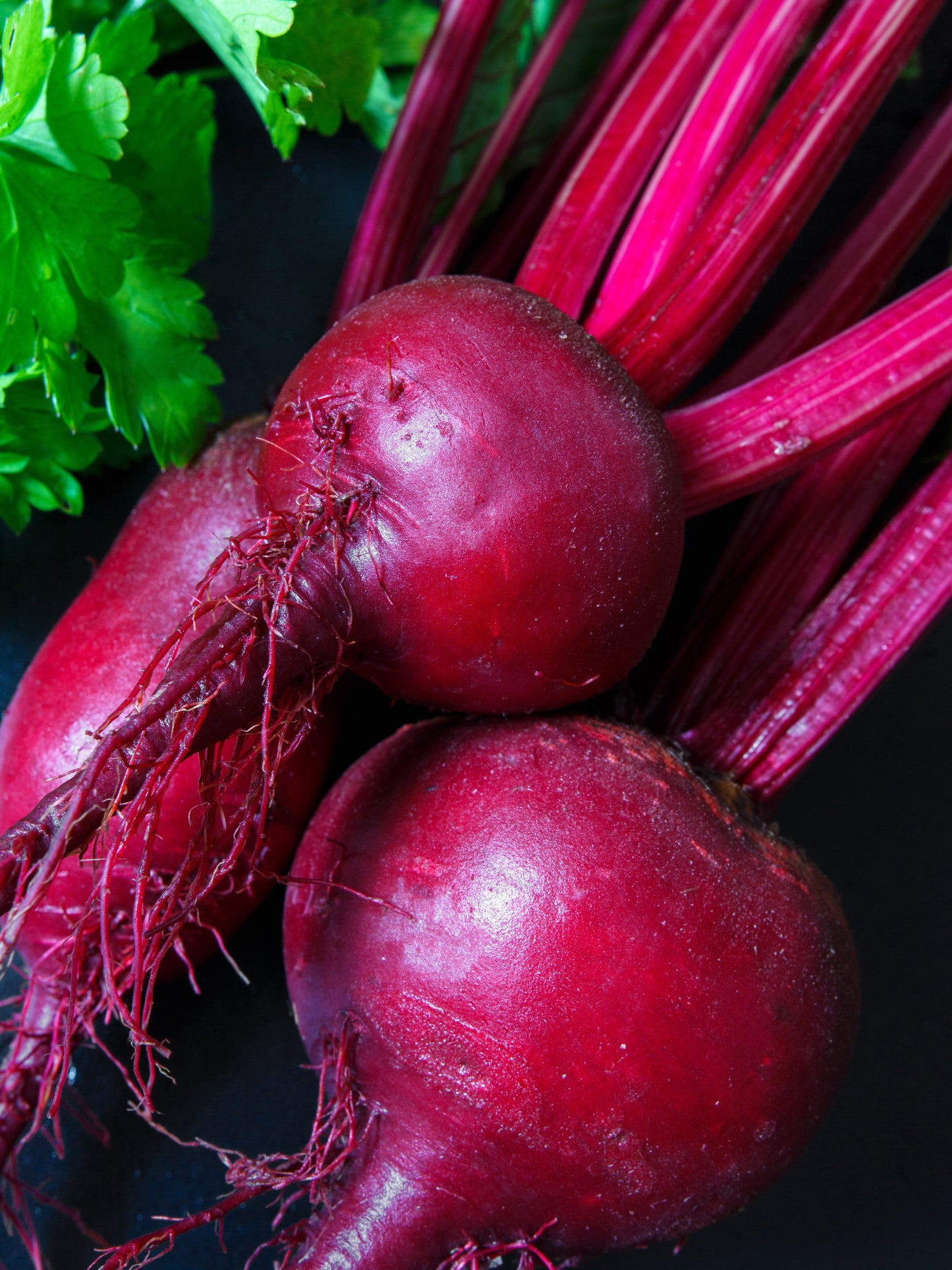 250 DETROIT Dark RED BEET Heirloom Beta Vulgaris Vegetable Seeds
