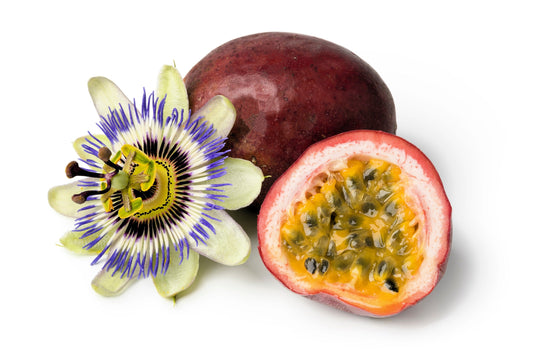20 PURPLE PASSION FRUIT Passionflower Granadilla Passiflora Edulis Flower Vine Seeds